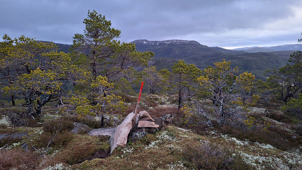 Husfjellet med Tenorlifjellet bak.