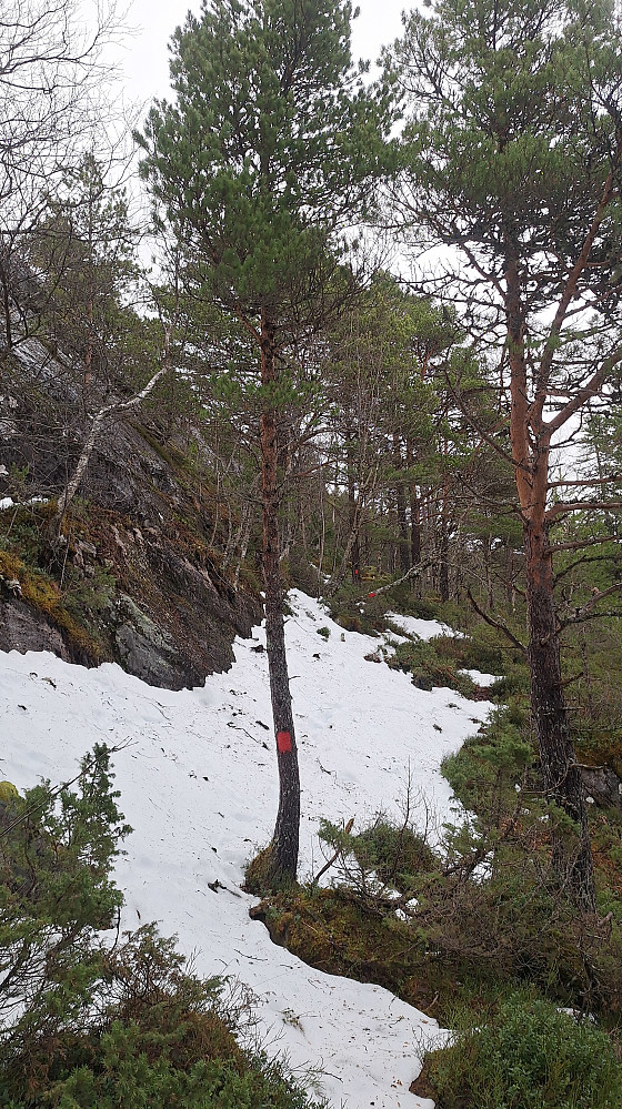 Dagens største snøparti.