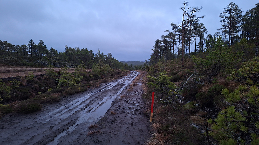 Gjørmeparti.