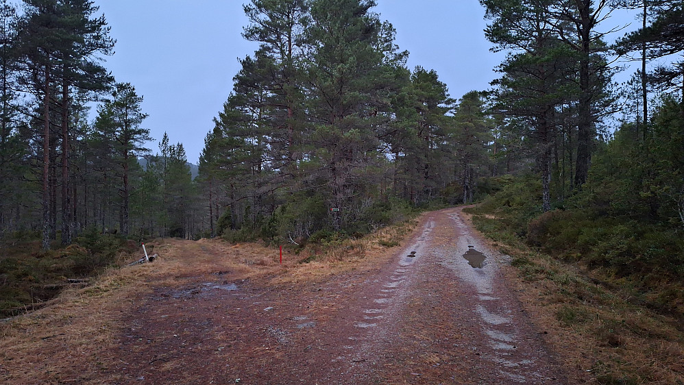 Gammelveien, Staurfjellet til venstre. 