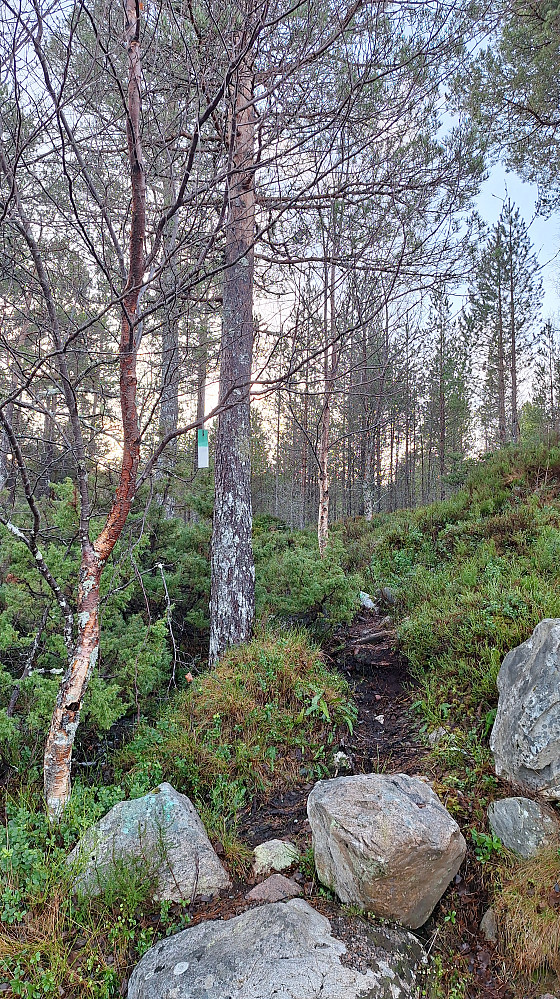 Grønnhvit merking til Snekkvikfjellet. 