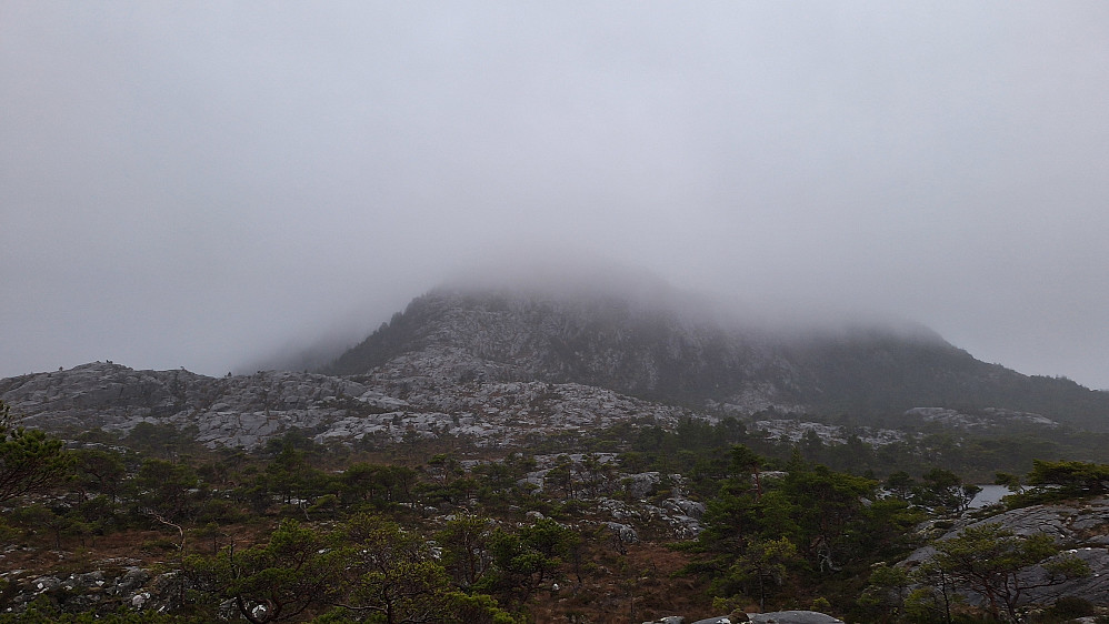 Tonningen.