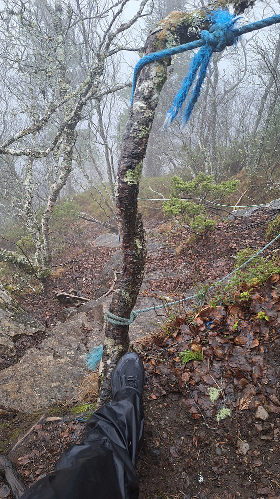 Ca. 100 meter før toppen. 