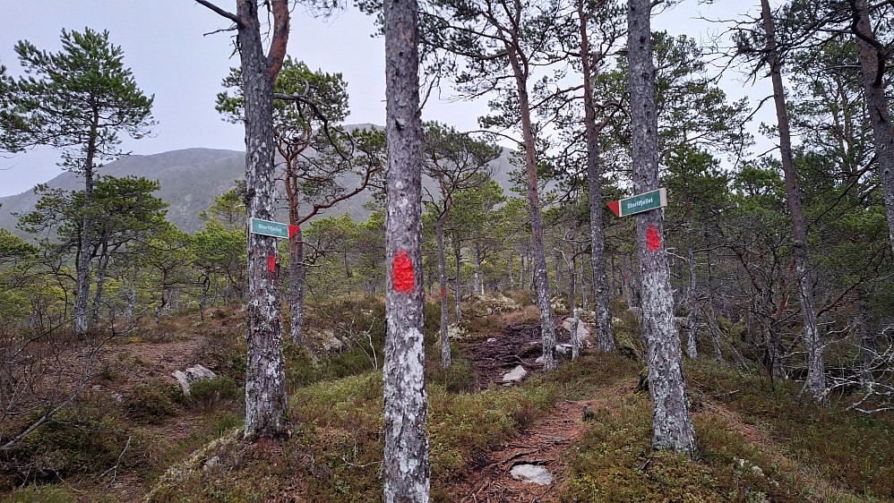 Ingenting å utsette på merkinga :-)