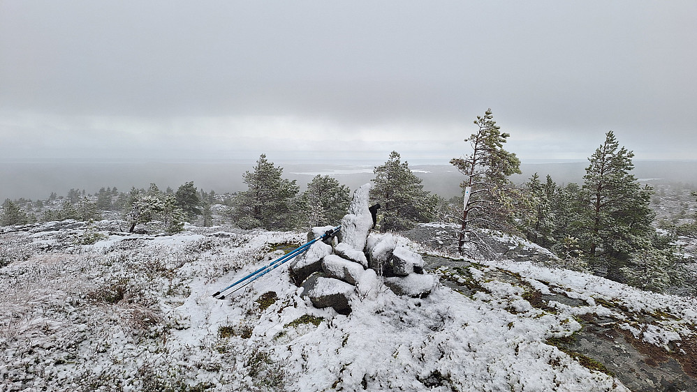 Jamtfjellet øst og høyeste punkt. 