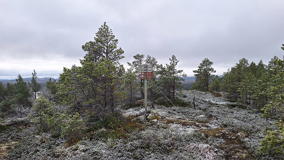 Steinfjellet. 