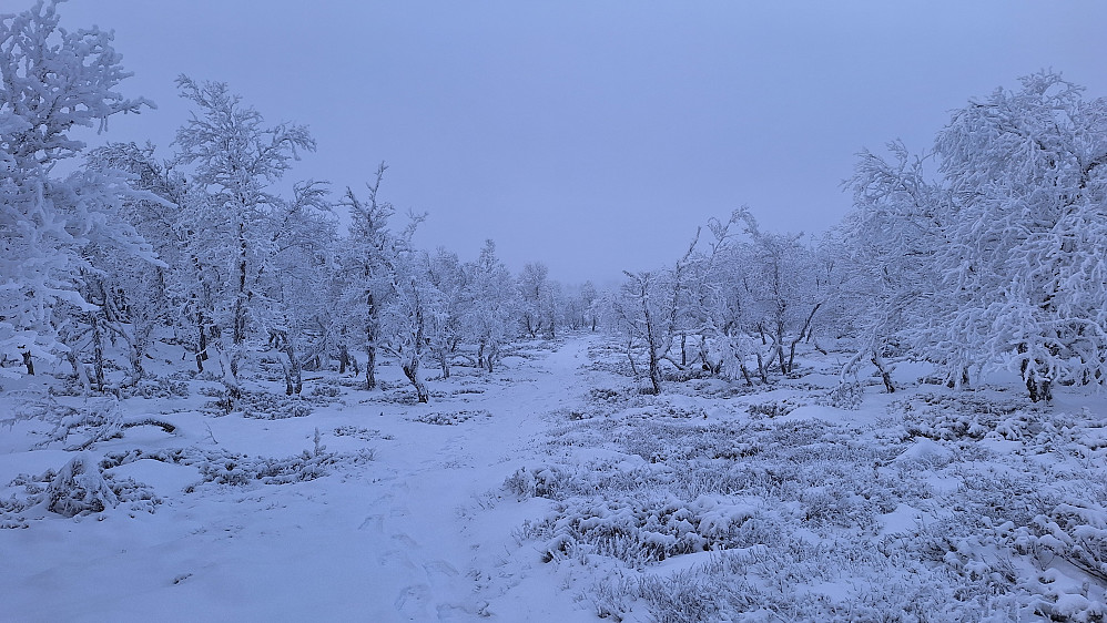 Lite snø, mye rim.