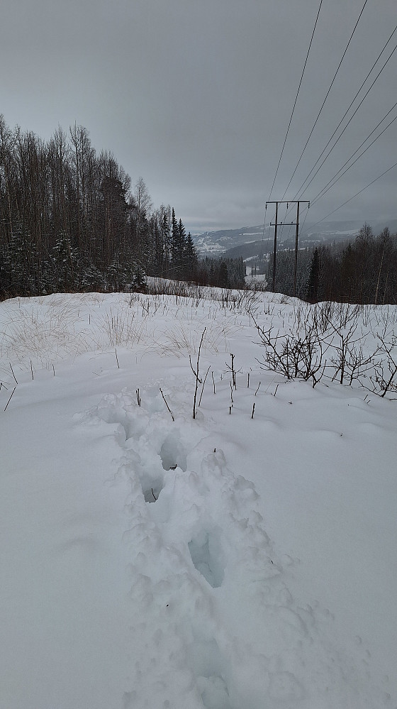 Snø til låret på Klundbykampen. Datt helt til bunns.