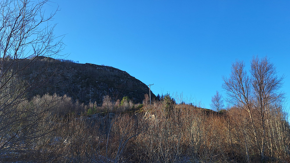 Opp skråningen sett fra veien.