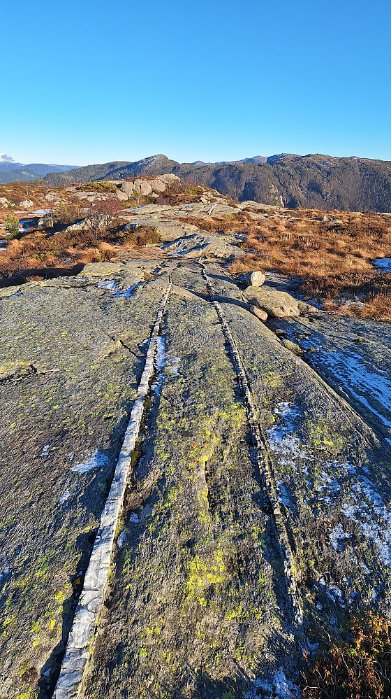 Naturens kunst.