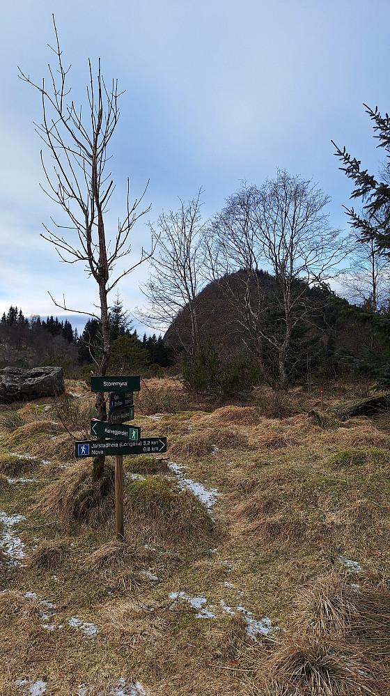 Stormyra med Storåsen bak. 