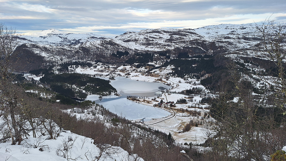 Veis ende på Nes.