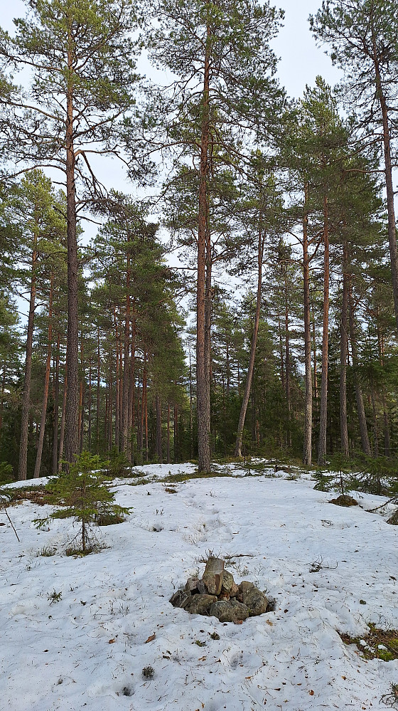 Storsvehøgda. 