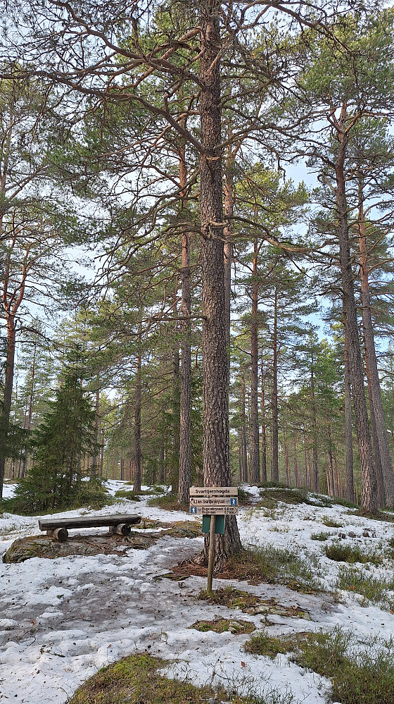 Lite snø på Svarttjernhøgda.