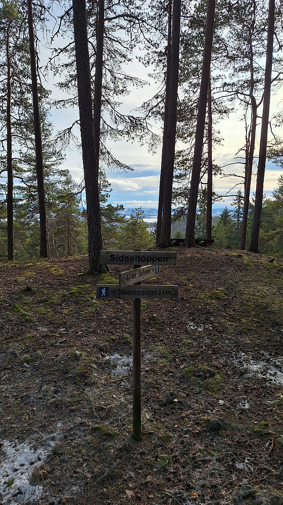 Ingen snø på Sidseltoppen. 