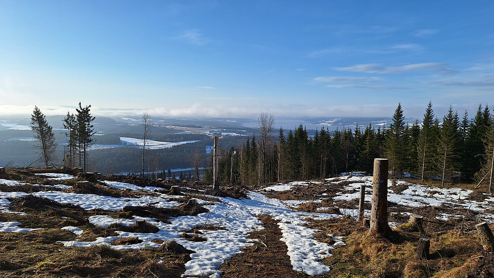 Morgenstemning med tåke.