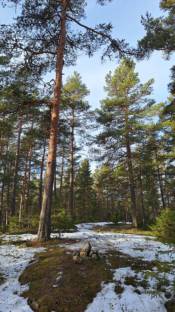 Storsvehøgda. 
