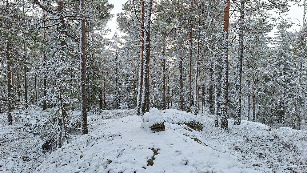 Kinnsåsen.