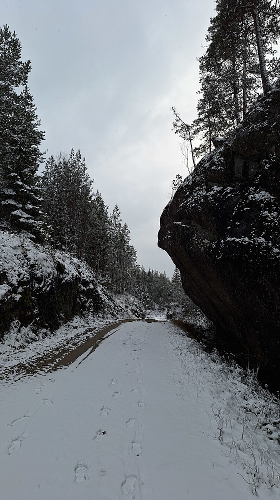 Ringkollveien gjennom Bjørndalen.
