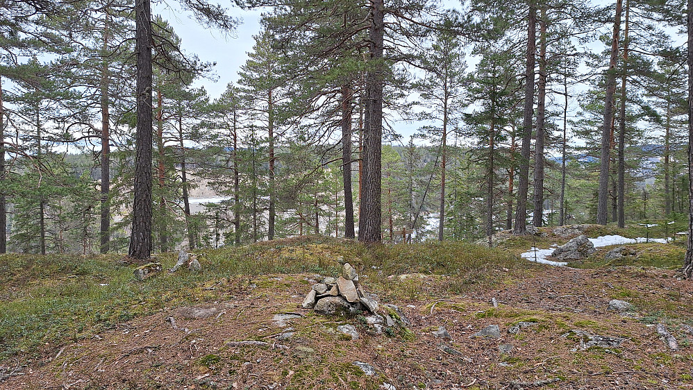Tandetoppen med Tandeskogen Fjelltak og Sidseltoppen bak.