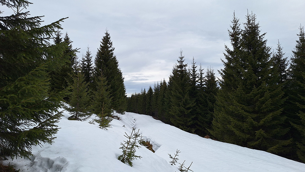 Forlater Lundbylivegen. 