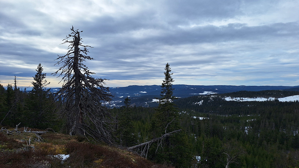 Utsikt fra Vivangskollen.