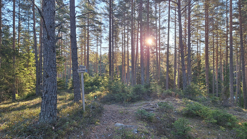 Høgberget. 