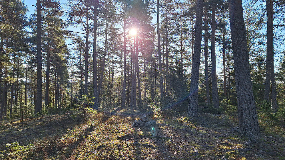 Storsvehøgda. 