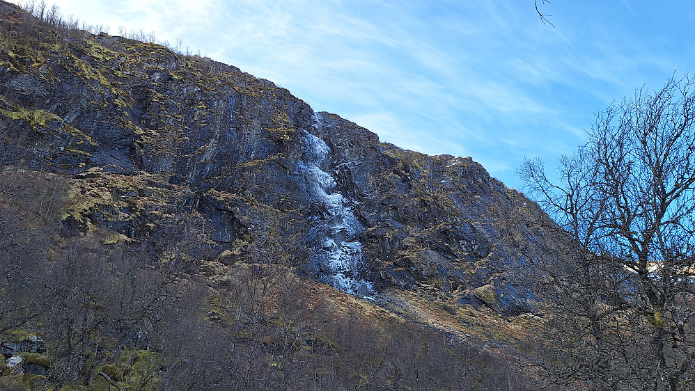 Naturens kunst.