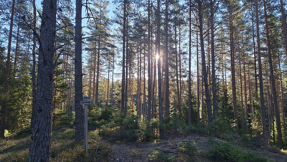 Høgberget. 
