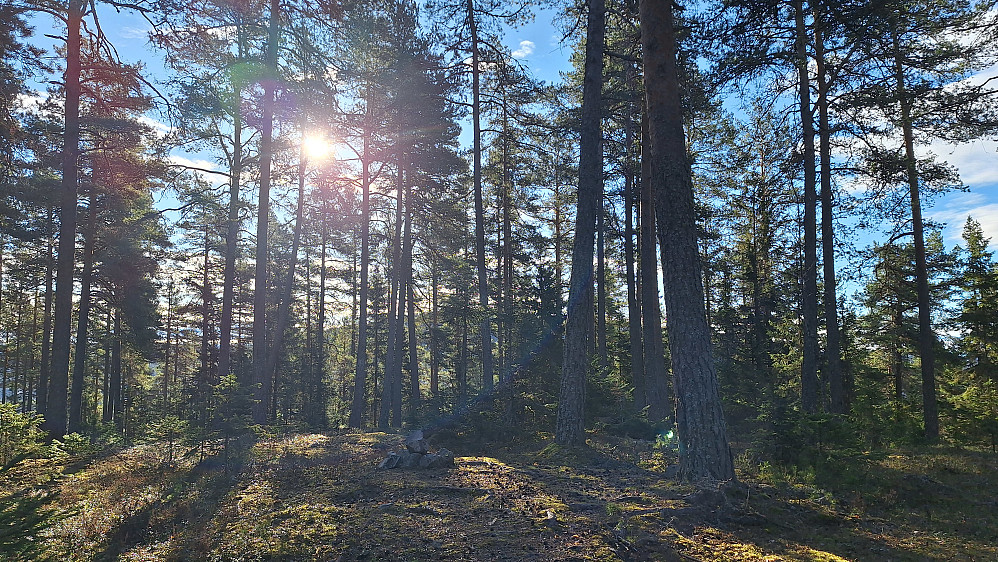 Storsvehøgda med Fusjeberget bak.