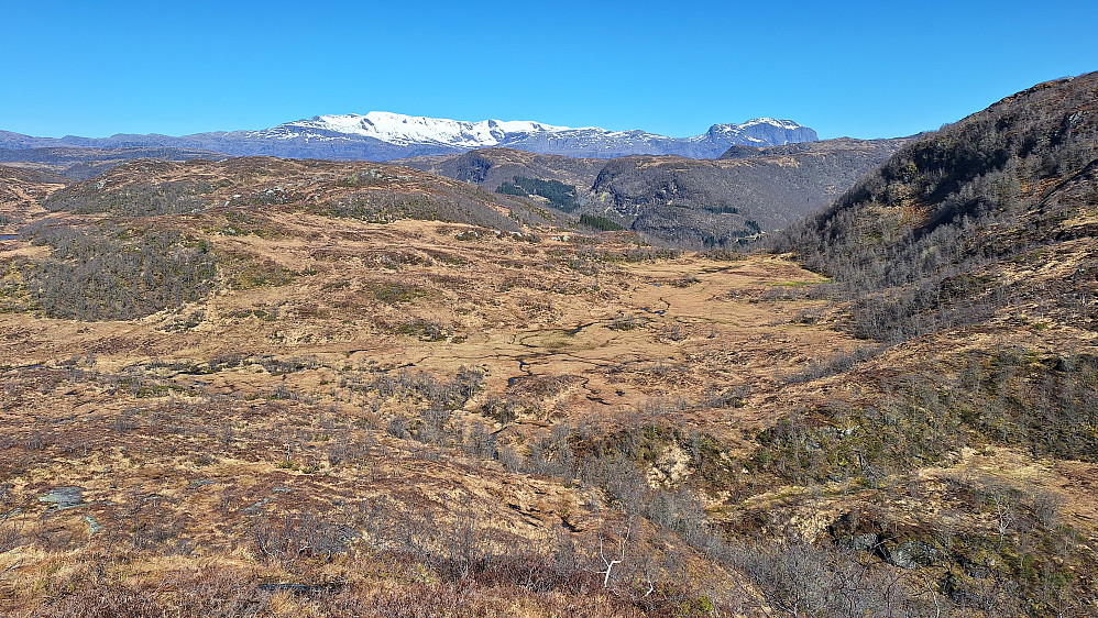 Ruta sett ovenfra, over myrlandskap.
