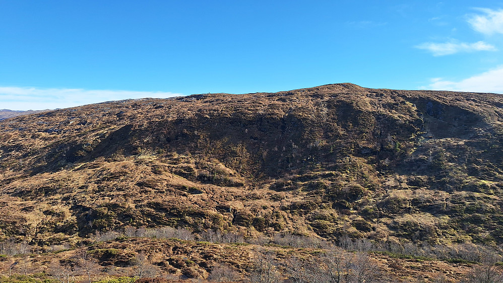 Skråningen ned fra Høgefjellet. 
