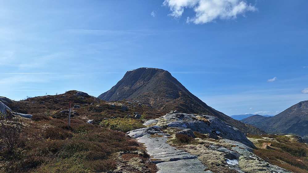 Grøtshornet.