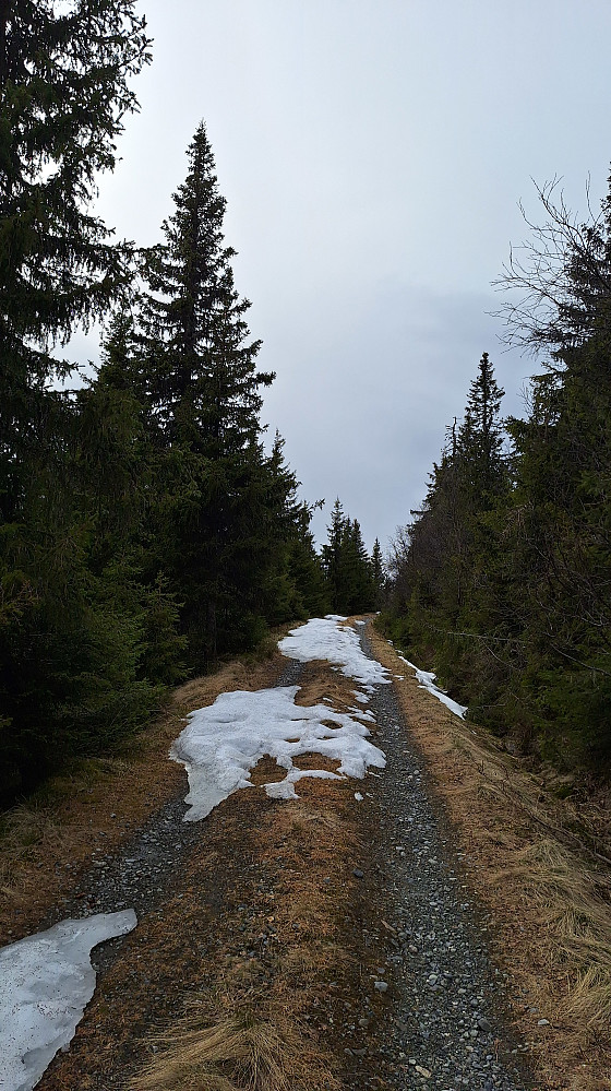 Kun et lite parti med snø igjen i skyggen.