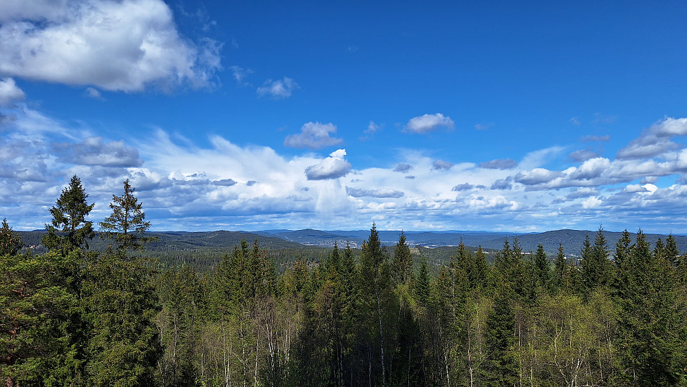 Utsikt nordover fra tårnet. 