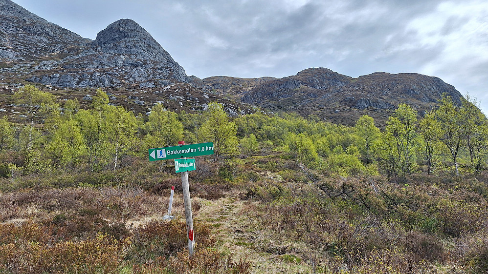Bakkefjellet og Blåfjellssåta. 