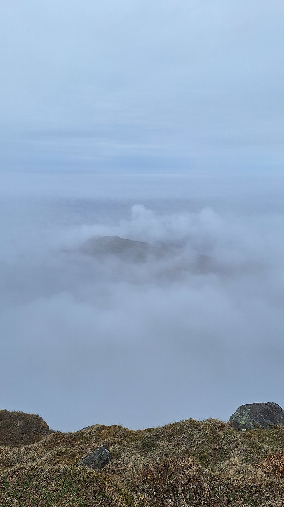 Kråkenes der nedi tåkehavet.