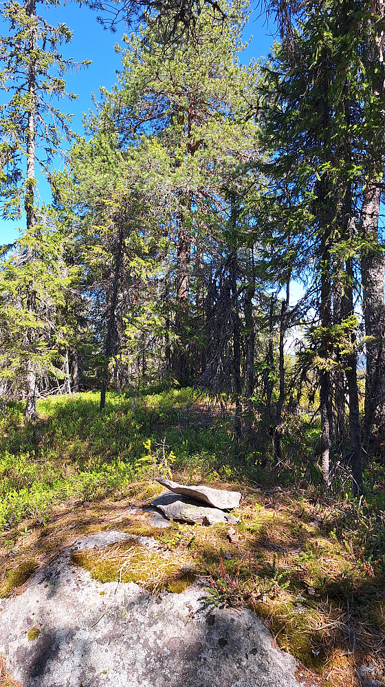 Skotjernfjellet.