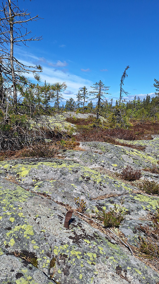 Trig. punkt Skotjernfjellet. 