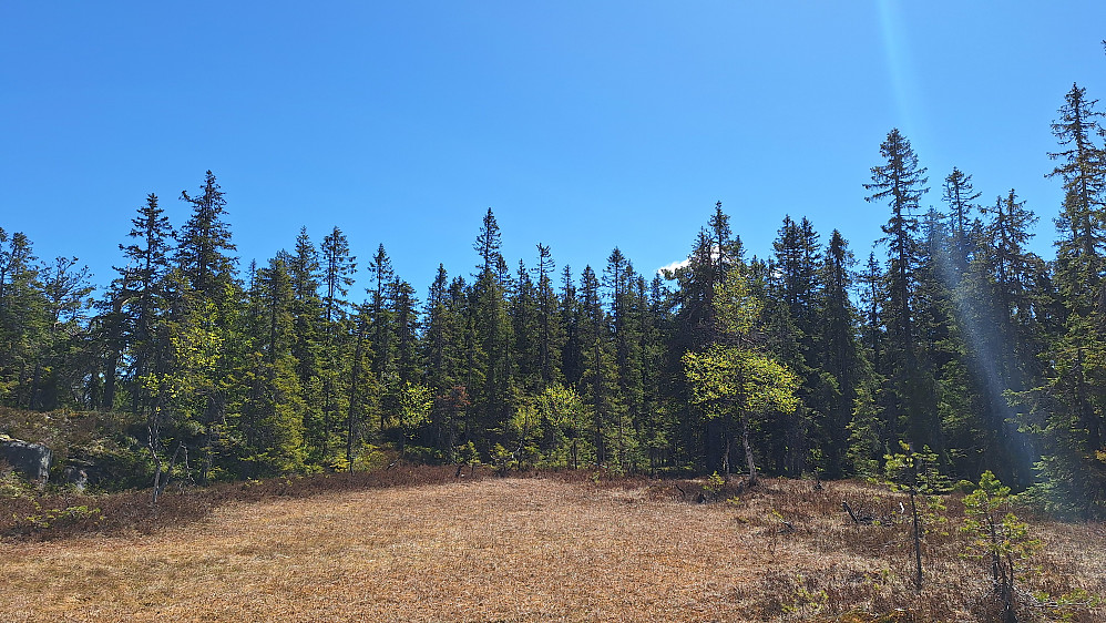 Skotjernfjellet. 