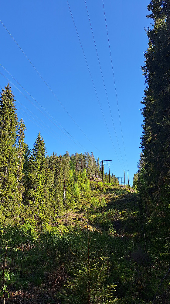 Høgberget.