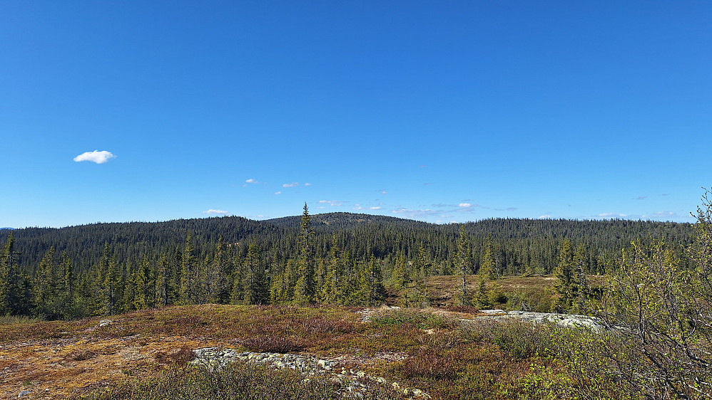 Fra Skinnerlifjellet mot Krokvassfjellet.