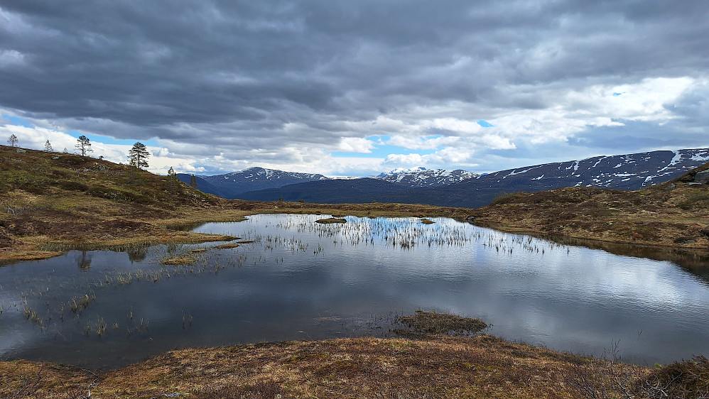 Tjernet ved toppen. 