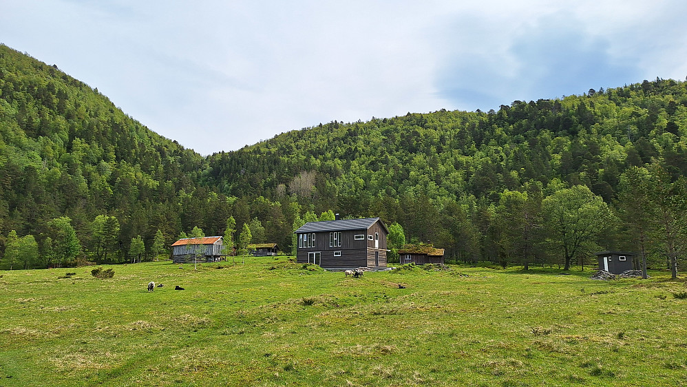 Stilkrasj.