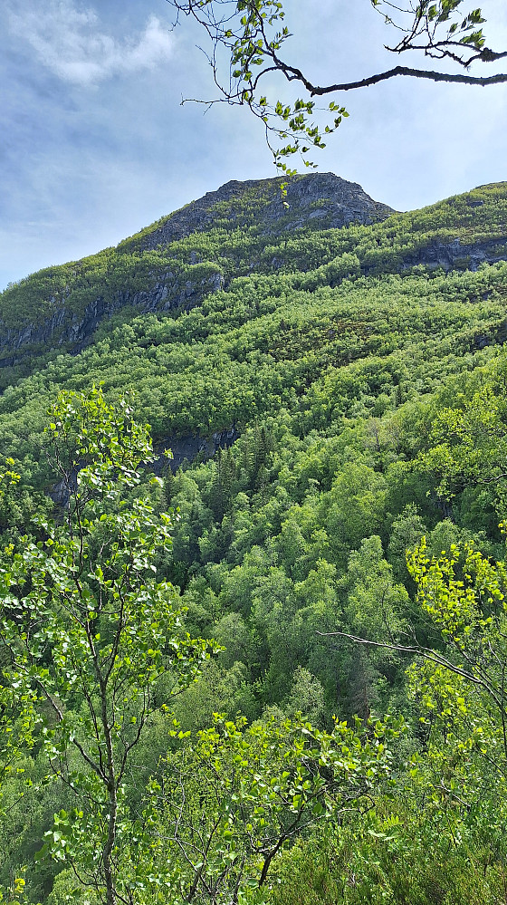 Magnhildberget.