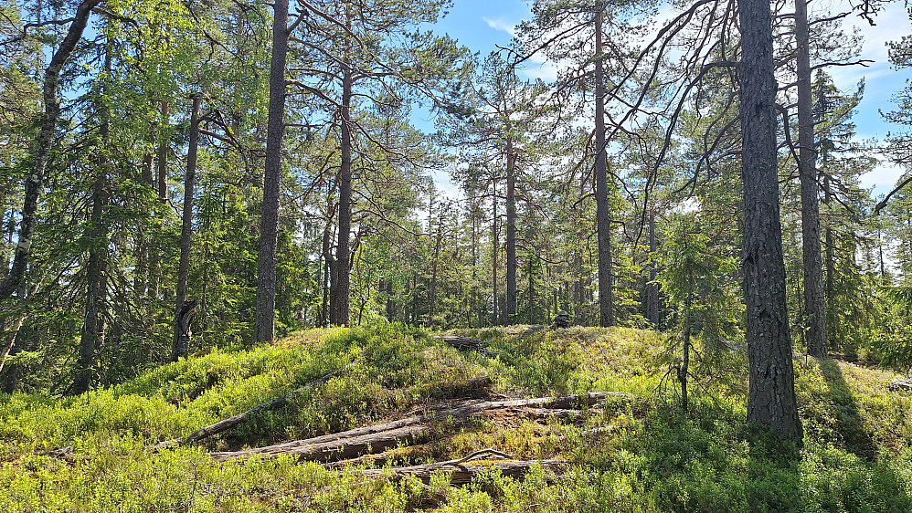 Tårnrester.