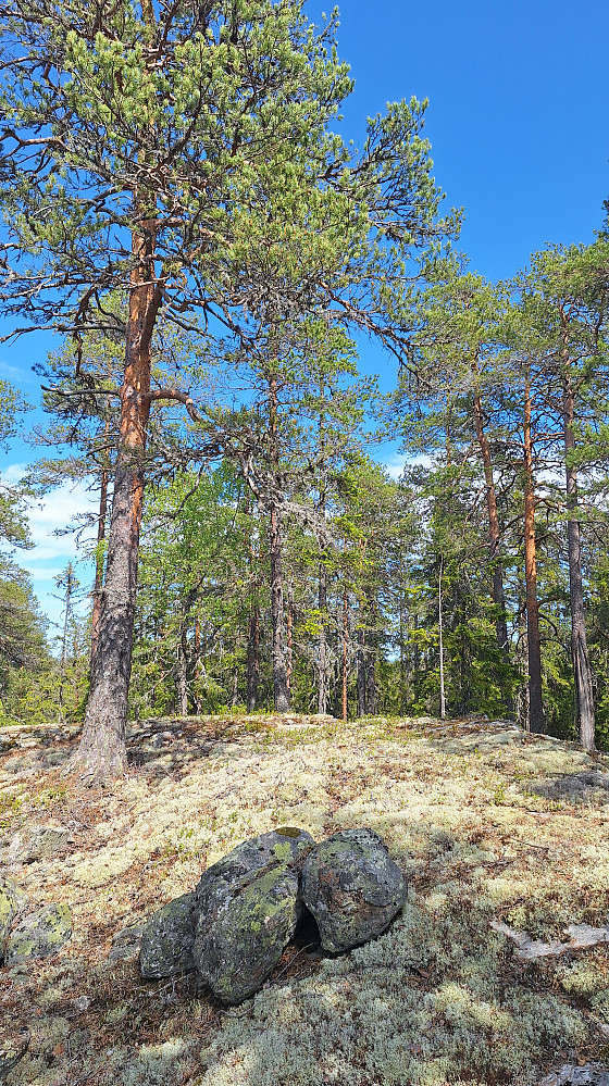 Samsjøberga sør.