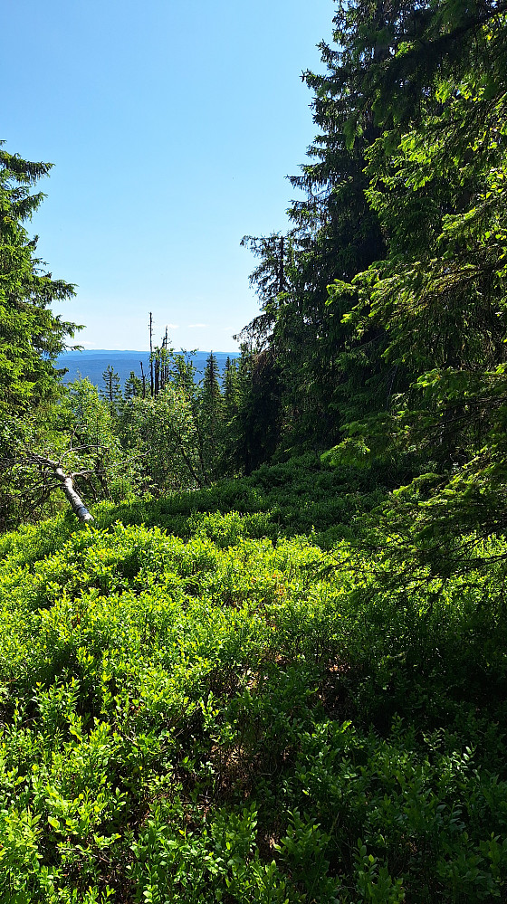 Råhaugen. 
