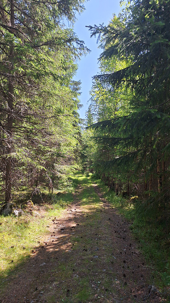 Fin sti først og sist.